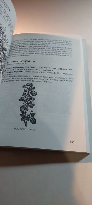 Medicina Popular Tratamento pelas Plantas Medicinais (1999)