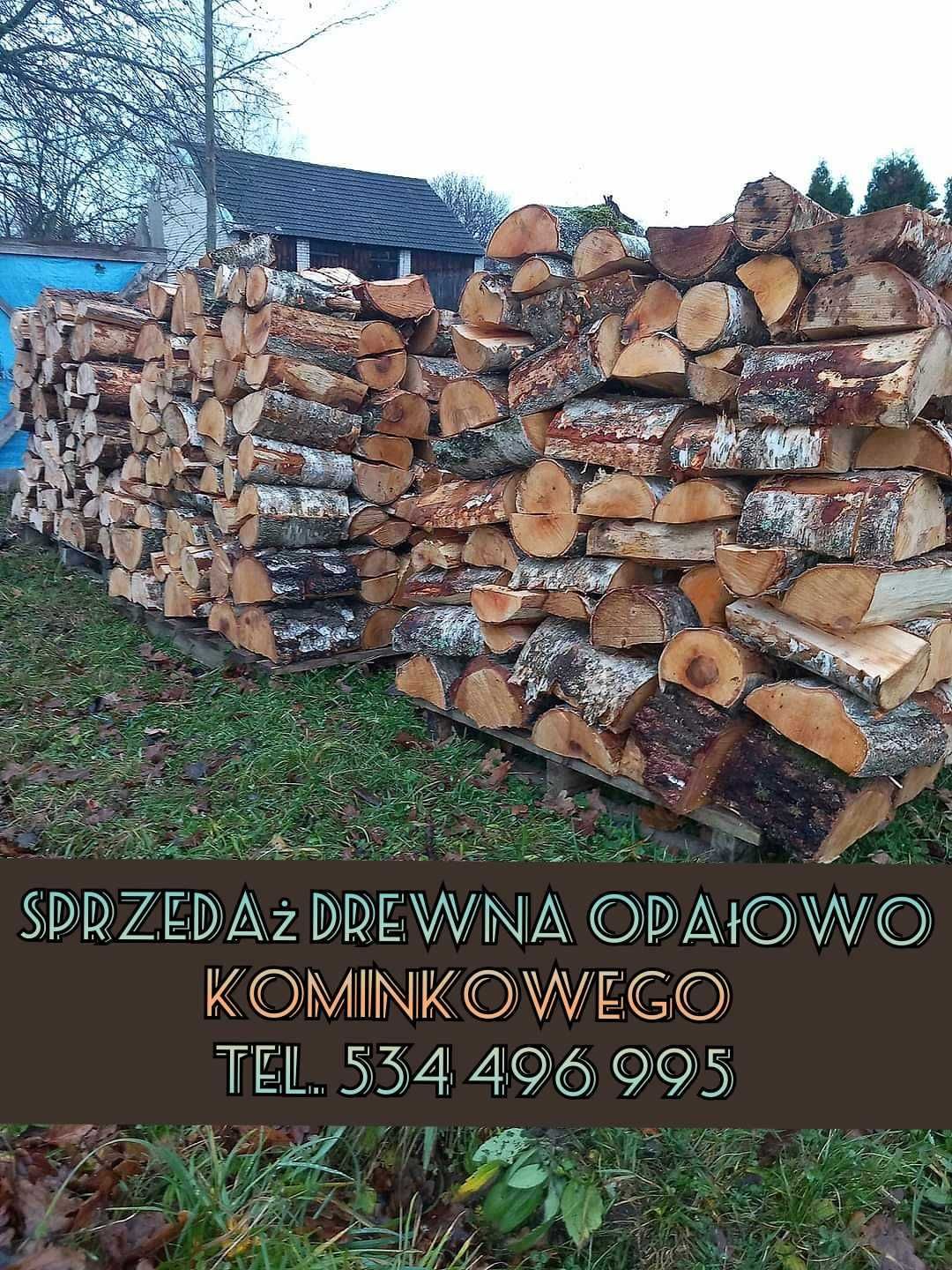 Drewno opałowe grube