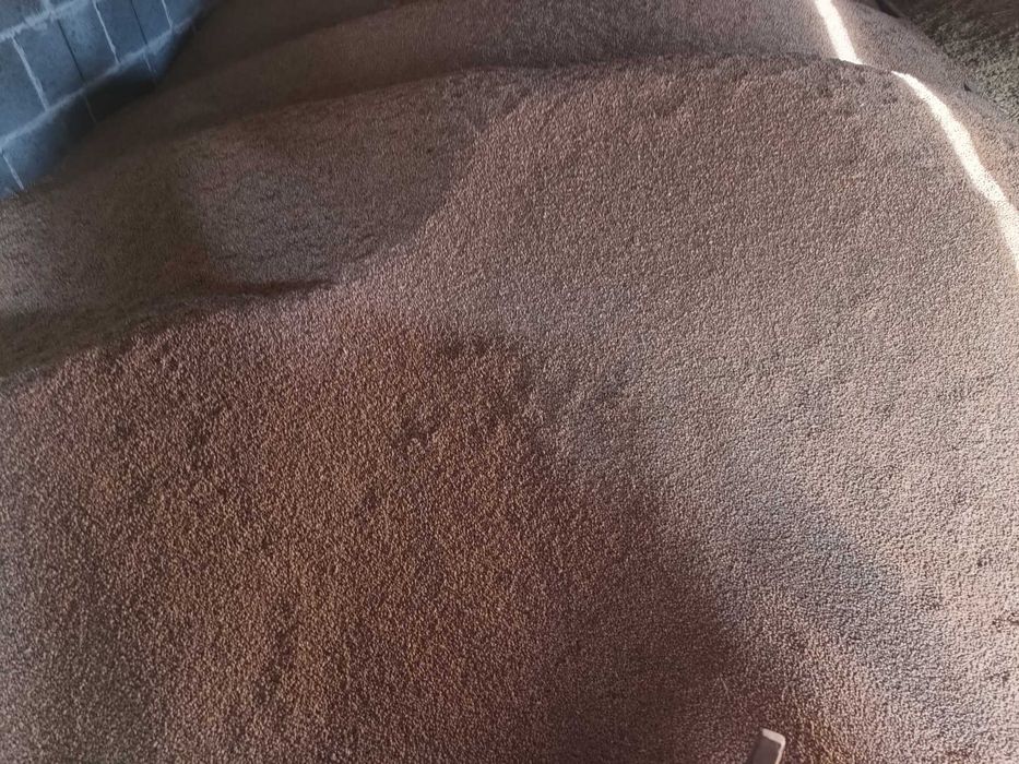 Pszenica ozima (wilejka,euforia),jara, jęczmień,owies,psz-zyto