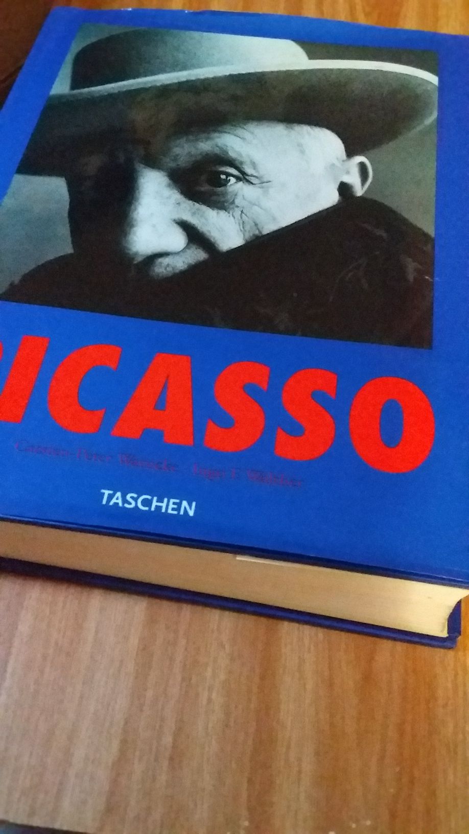 Livro Picasso - Edição especial 740 páginas