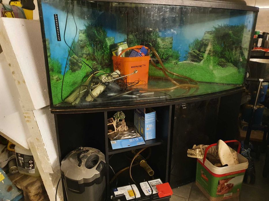 Akwarium narożne 480l z szafką i z całym oporządzeniem