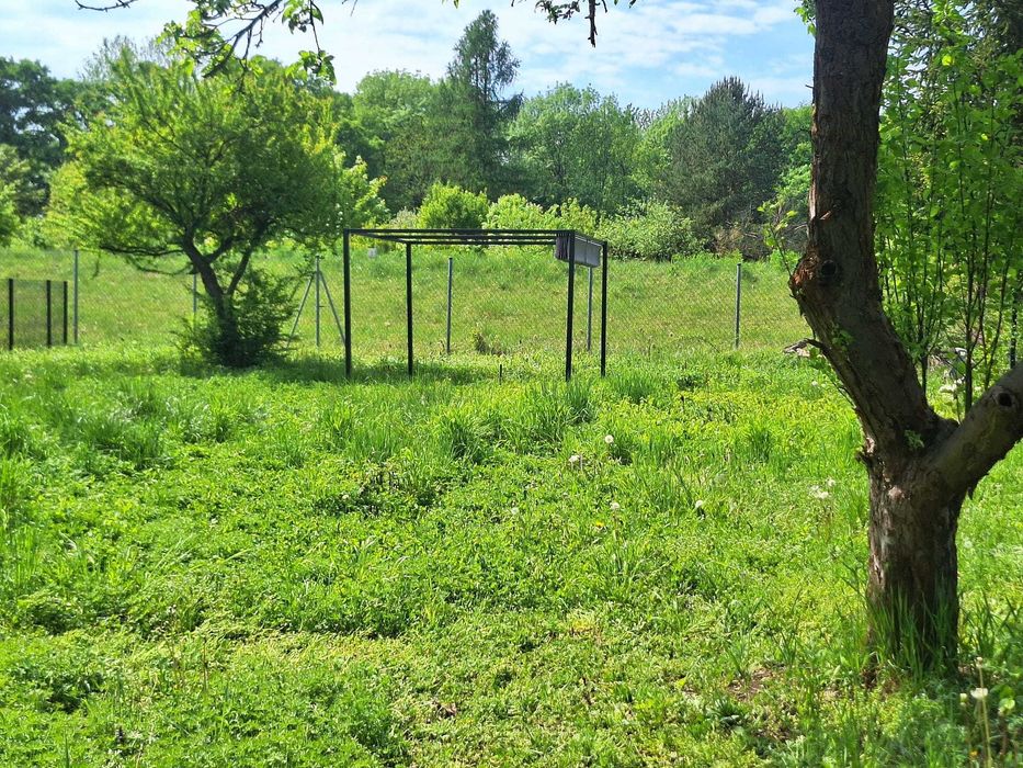 Działka rekreacyjna ROD leśna polana sołtysowice Wrocław