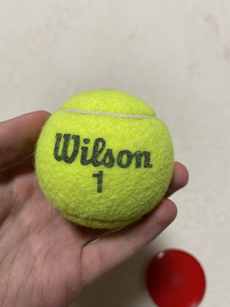 Тенісні мʼячи Wilson, Penn