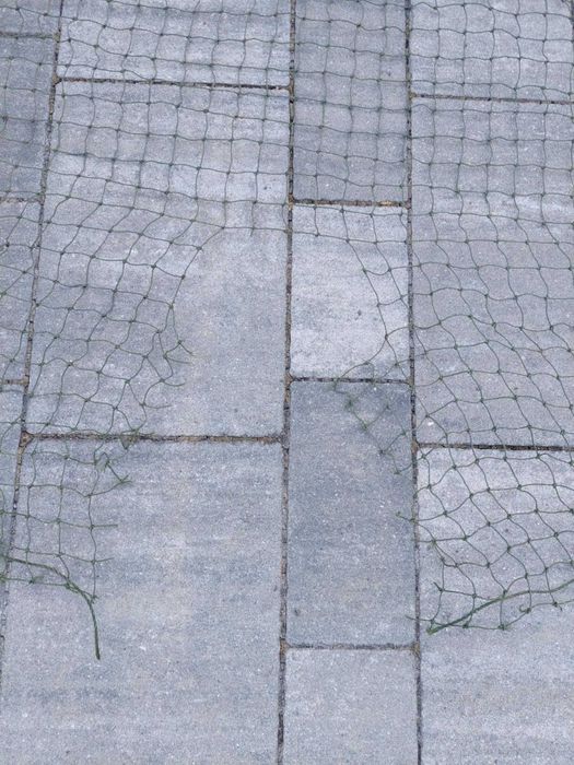 Siatka na balkon 2,5m wys x 12,5m dł