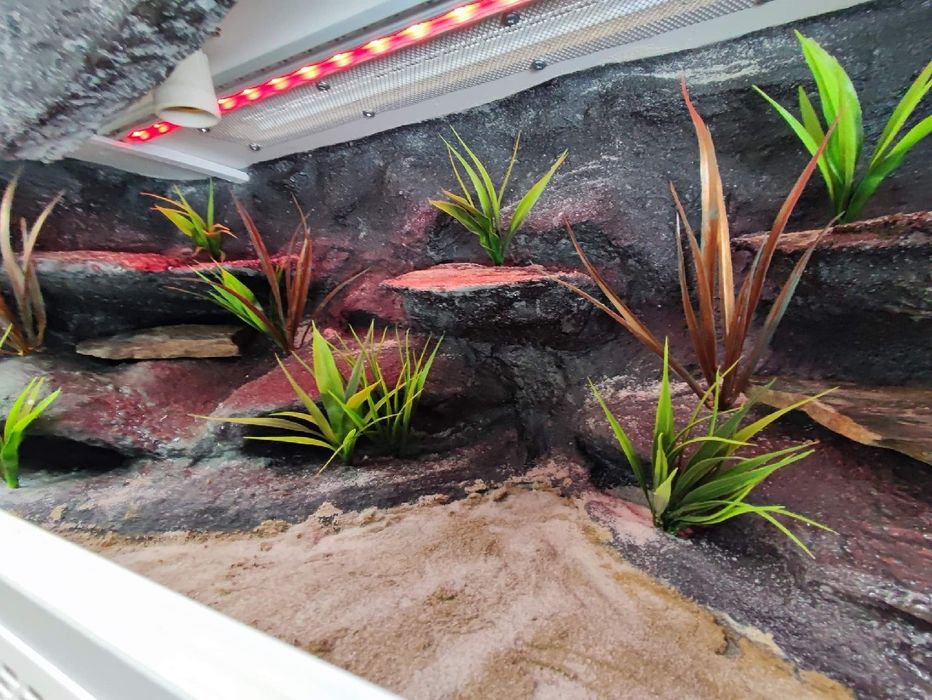 Terrarium 100x40x40 z płyty meblowej gekon agama jaszczurka KOŚCIAN