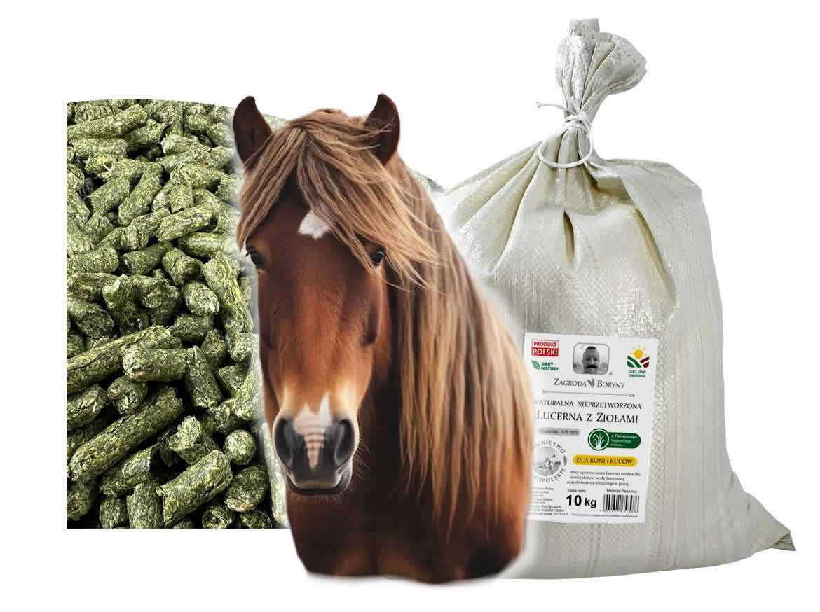 Lucerna Granulowana 10 KG dla Koni i Kuców Pellet Białko
