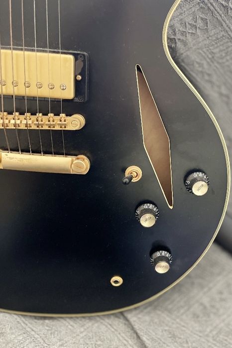Epiphone Emily Wolf Sheraton Stealth