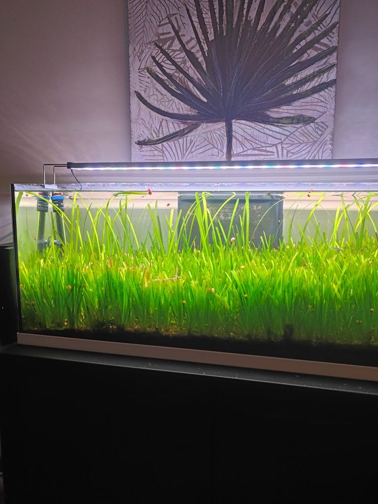 Aquário  com led