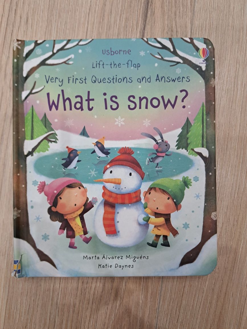 What is snow? Usborne Very first questions and answers