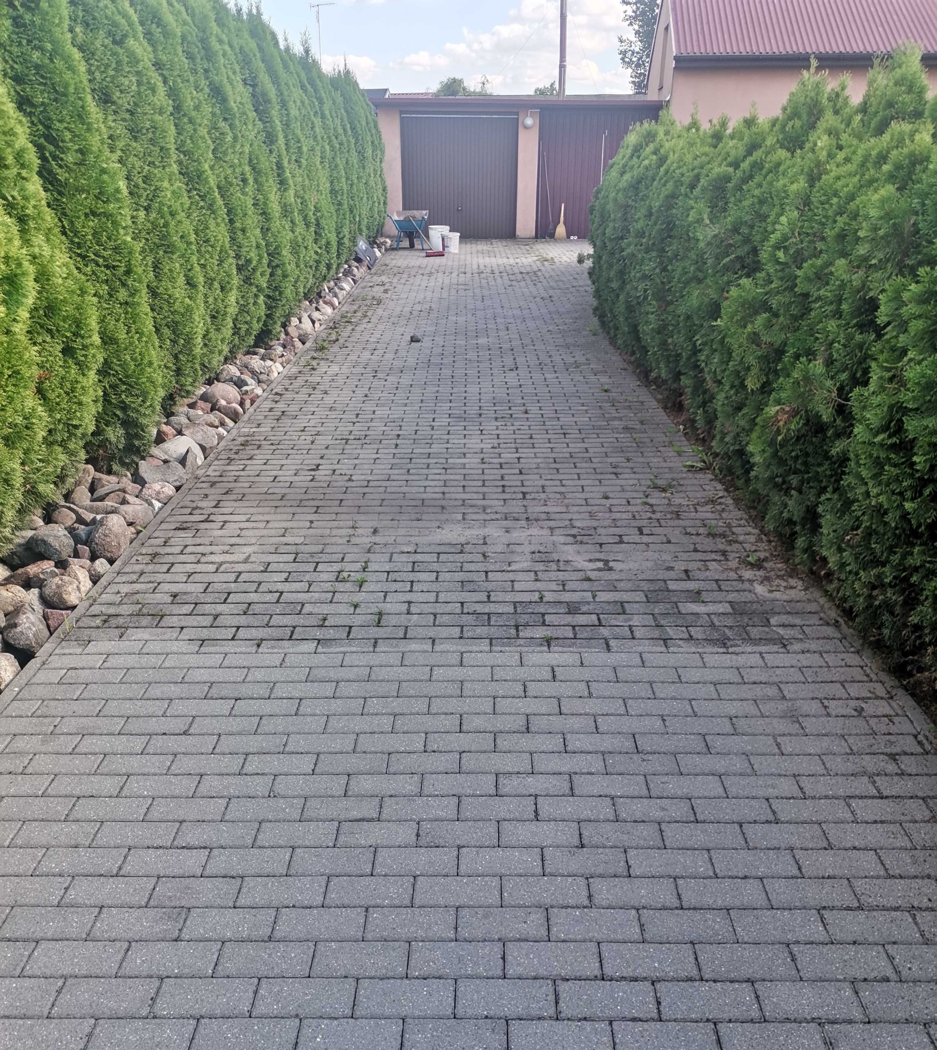 mycie czyszczenie kostki brukowej elewacji ozonowanie