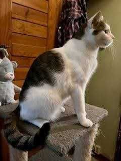 Filip czeka na swoją szansę