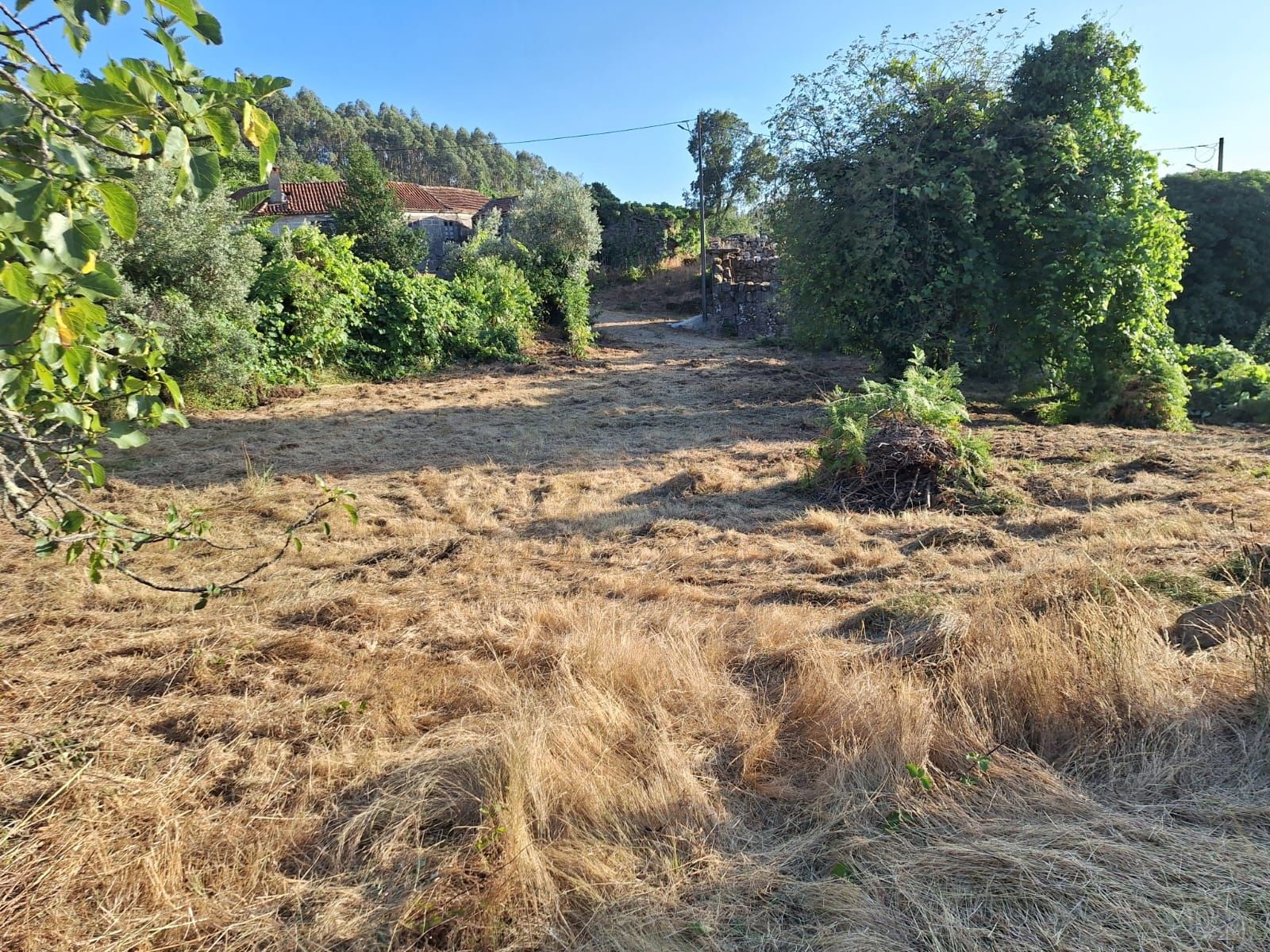 Quinta Caramulo com três casas para Turismo ou férias