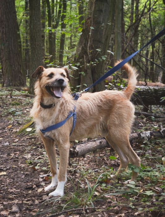 Lata mijają, a on ciągle czeka