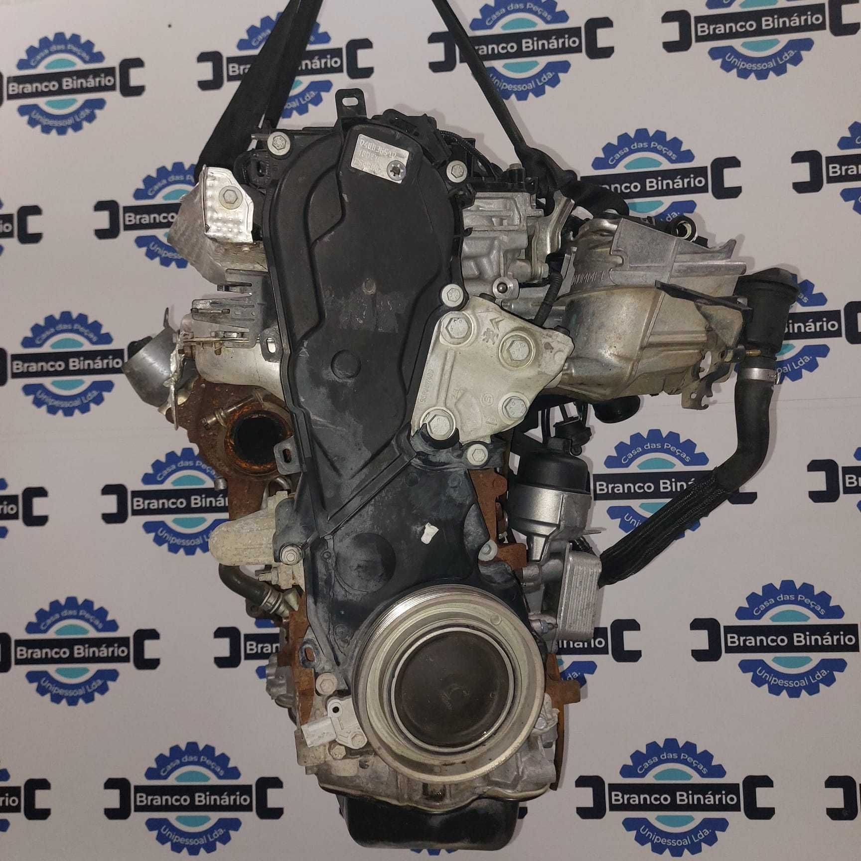 Motor Peugeot/Citroen 2.0 HDI