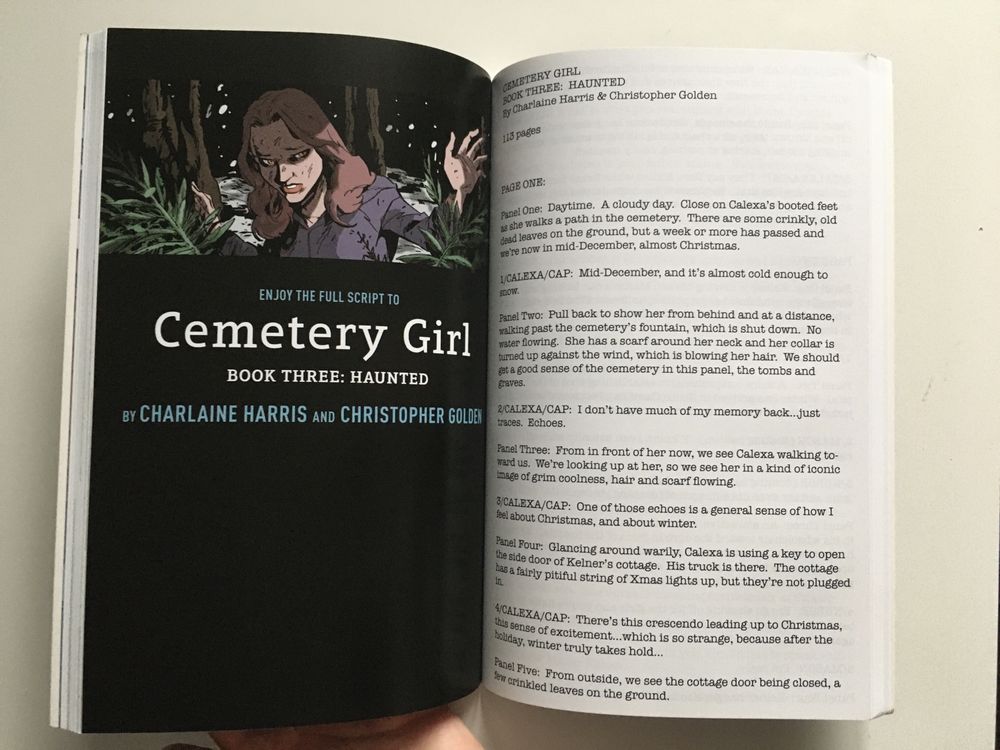 Cemetery Girl Complete Vol 1-2&3 470+ stron