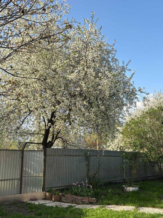 Затишний будинок, Калинівка Носівського р-ну Чернігівської області