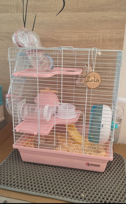 Chomik dżungarski wraz z klatką.