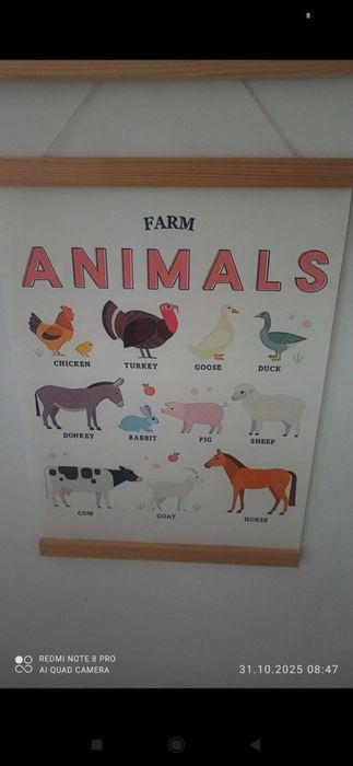 plakat banner proporczyk zwierzęta na wsi Montessori