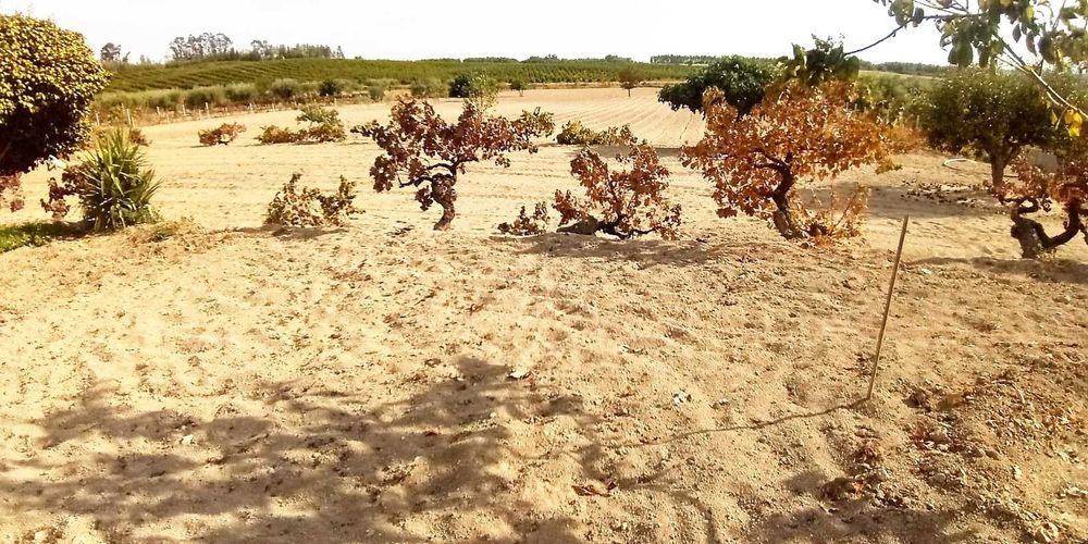 Terreno à venda em Povoa de Atalaia - Alpedrinha - Fundão