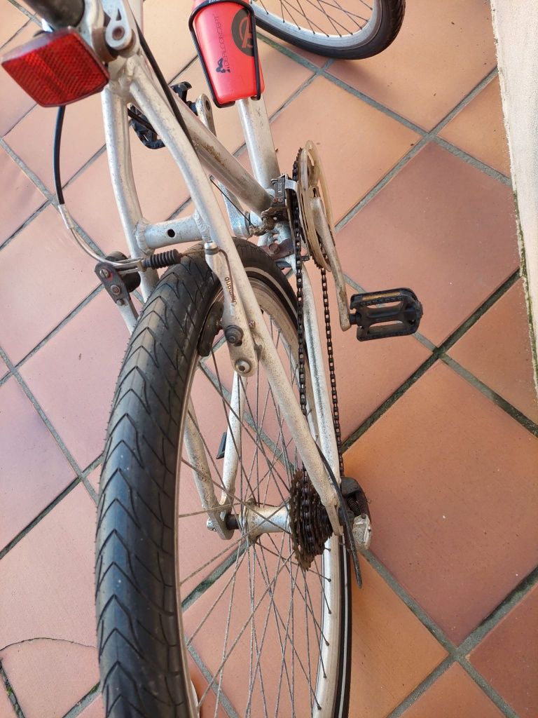 Bicicleta de Adulto