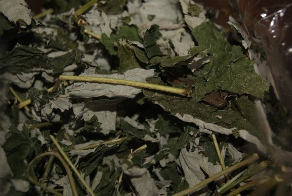 Liść maliny suszony 100 g