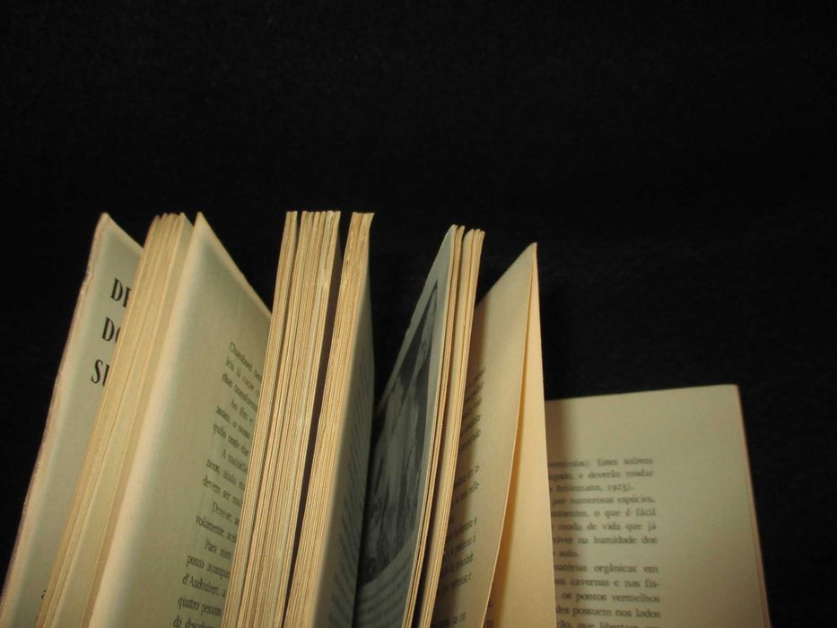 Livro Descoberta do Mundo Subterrâneo Michel Bouillon