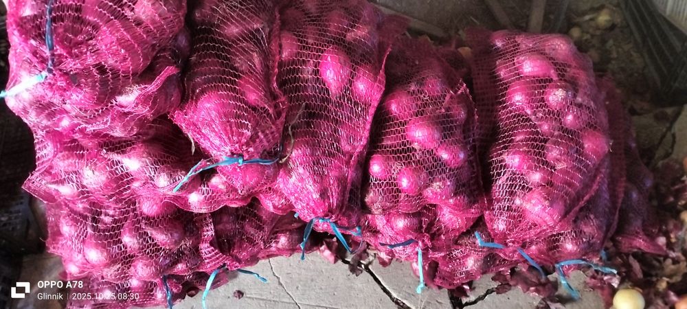 Cebula czerwona worek 5kg