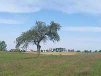 881 m2 - piękna działka BUDOWLANA nad morzem