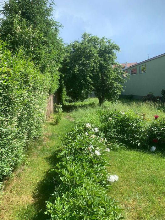 Zakładanie ogrodów, pielęgnacja, zagospodarowanie terenu GREEN-GARDEN