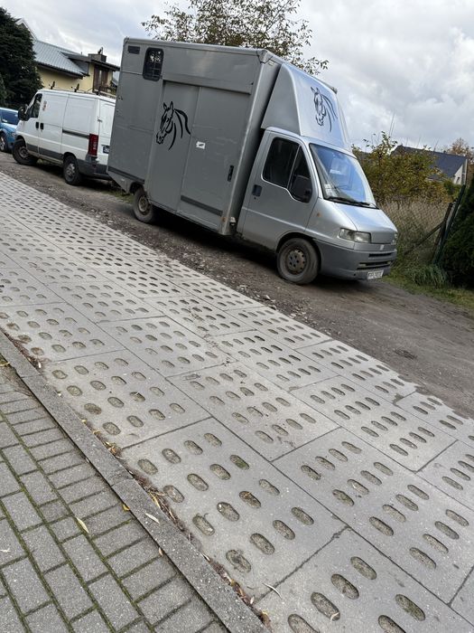 Fiat Ducato Koniowoz  OkazjallllRezerwacja