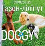 Практичний Газон ліліпут Догги DOGGY для твого собаки насіння конюшина