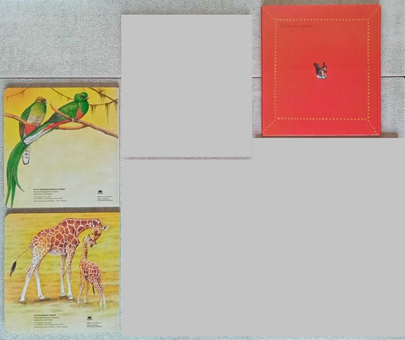 Кто в Южной Америке Живет/ Кто в Африке Живет/ Беличья память