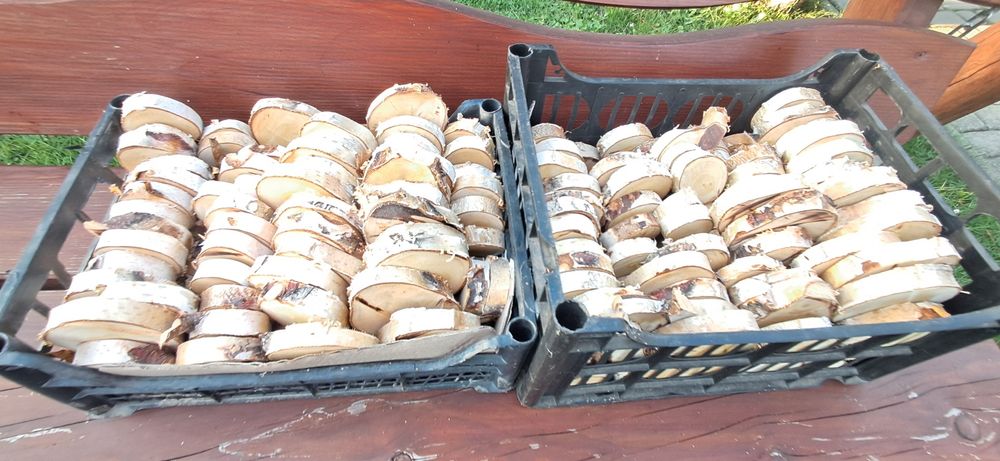 Drewnie Plastry brzozy Mix