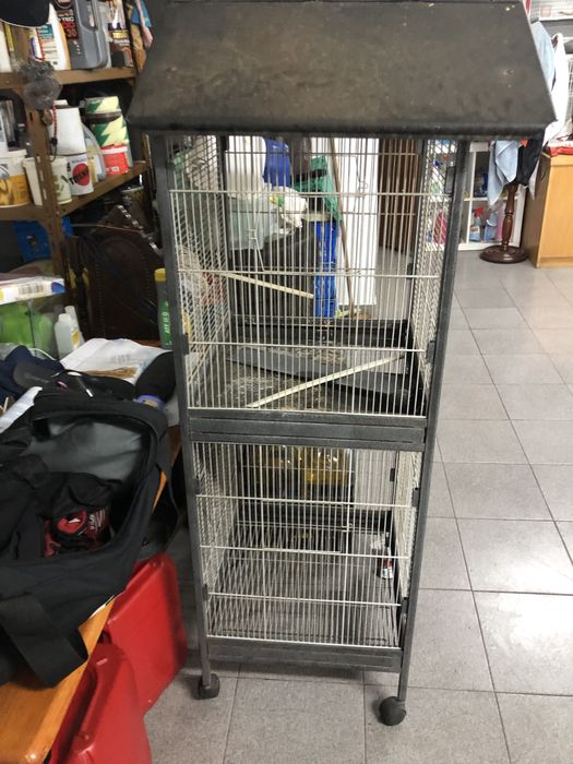 Viveiro para Desocupar