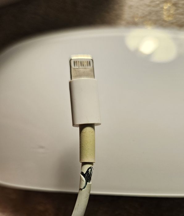 Apple Magic Mouse 2021 silver