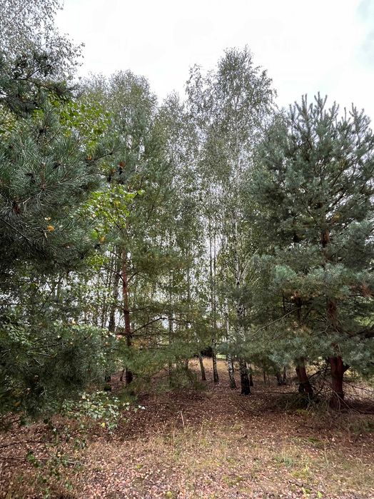 Działka letniskowa budowlana piękna z potencjałem 1512 m2