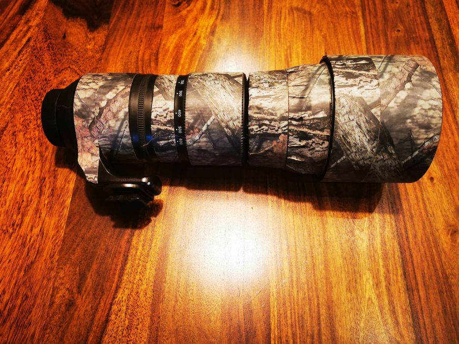 Sigma 150-600 mm F5-6.3 DG Nikon