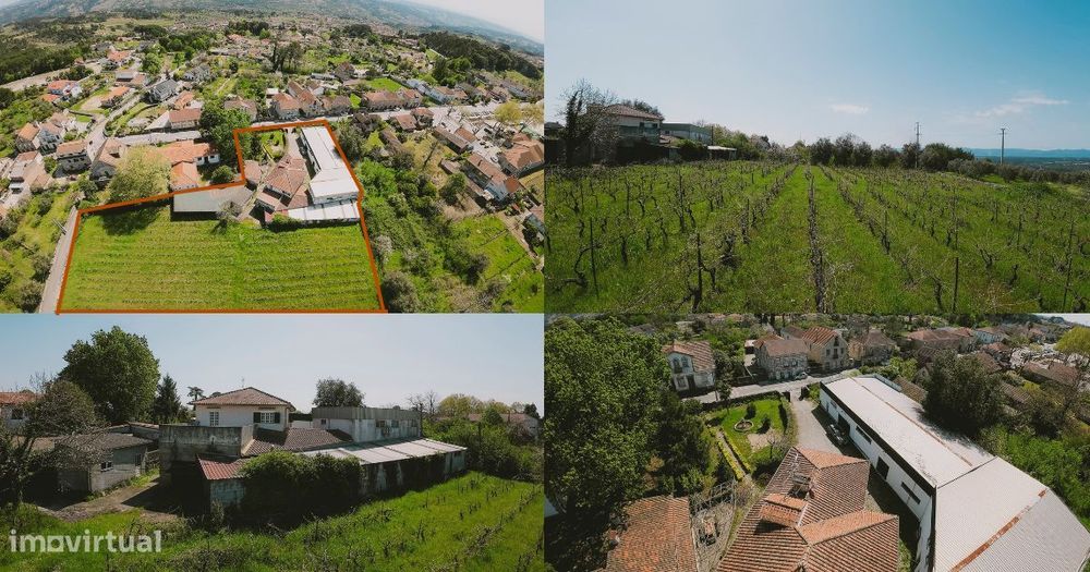 Quinta com Vinha, Armazém e Casa em Pedra – Oportunidade Única