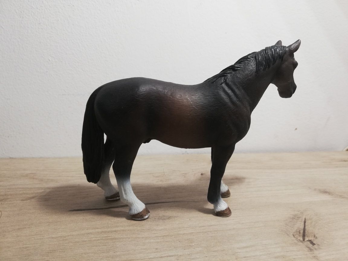 Schleich 13649 - Ogier hanowerski koń figurka