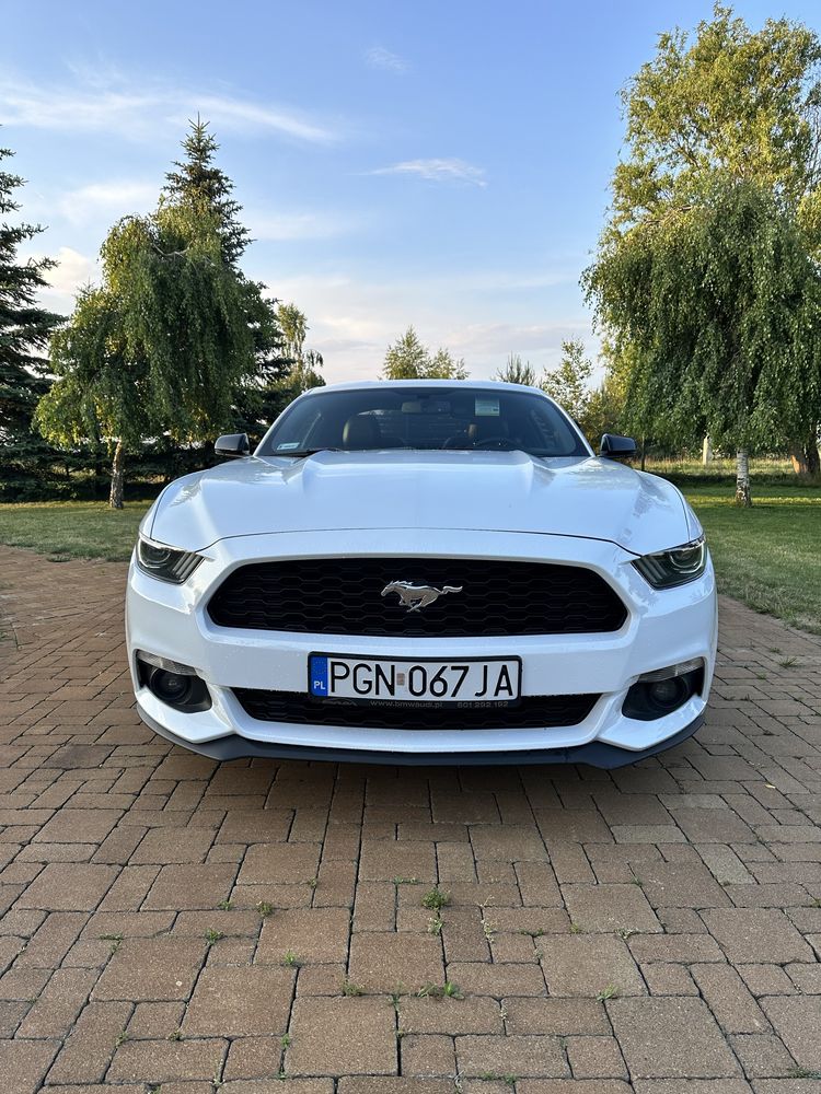 Mustang coupe wypozyczalnia aut wynajem promocja 30 dni 5900z Fv