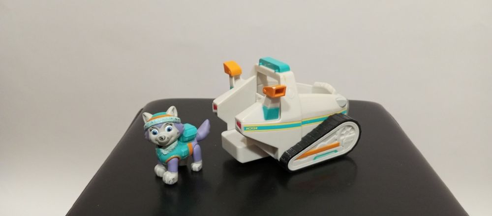 Veículo Everest Patrulha Pata