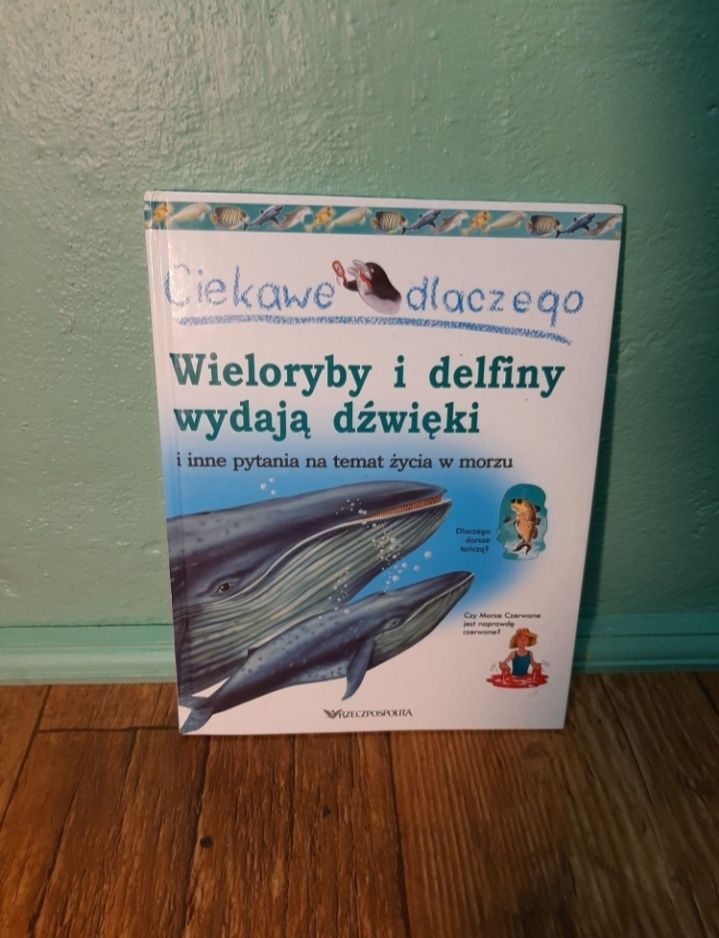 Ciekawe dlaczego delfiny i wieloryby wydają dźwięki Wu2