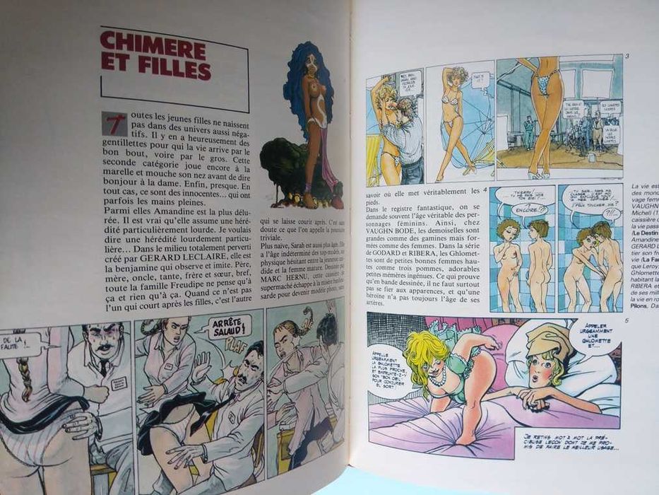 Et la B.D. créa la femme : Histoire coquine de l'érotisme dessiné.