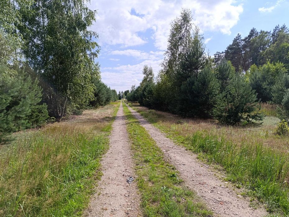 16 działek budowlanych od 1040m2 do 1254m2, Ludowinka gm. Wodzierady