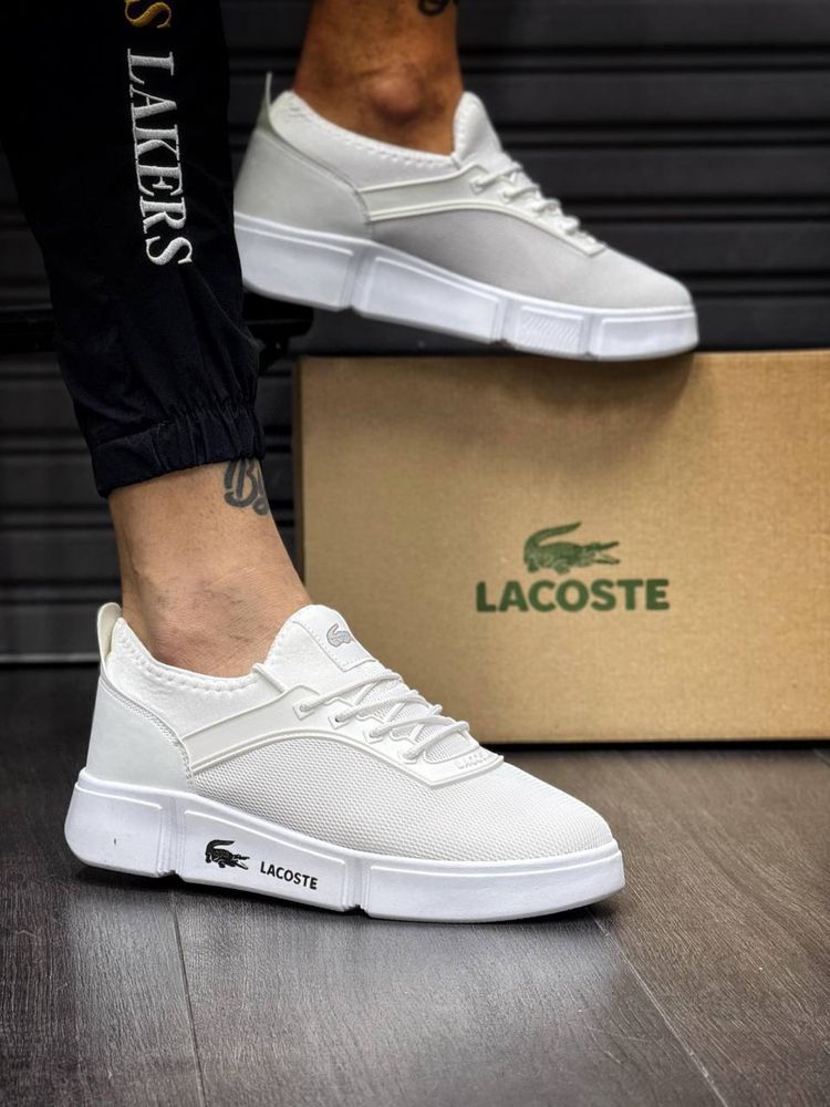 Lacoste White