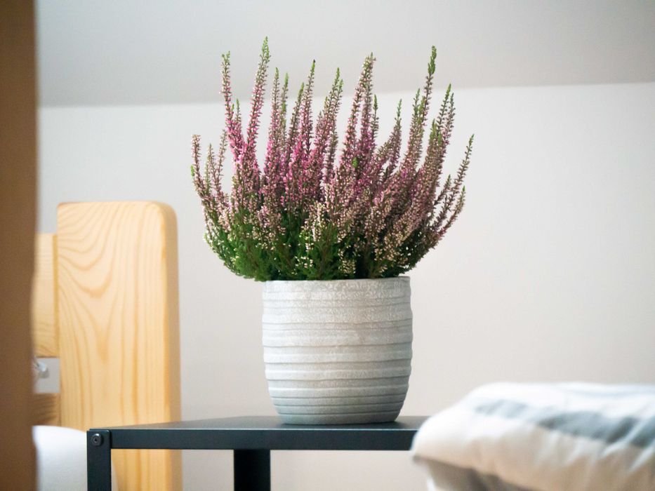 Agrosturystyka  Woli Zarczyckiej