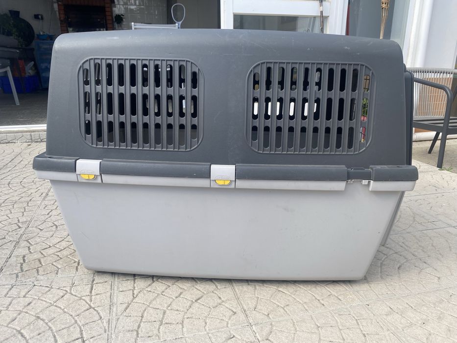 Transportadora cao Gulliver