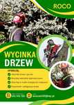 Wycinka drzew, pielęgnacja, przycinanie