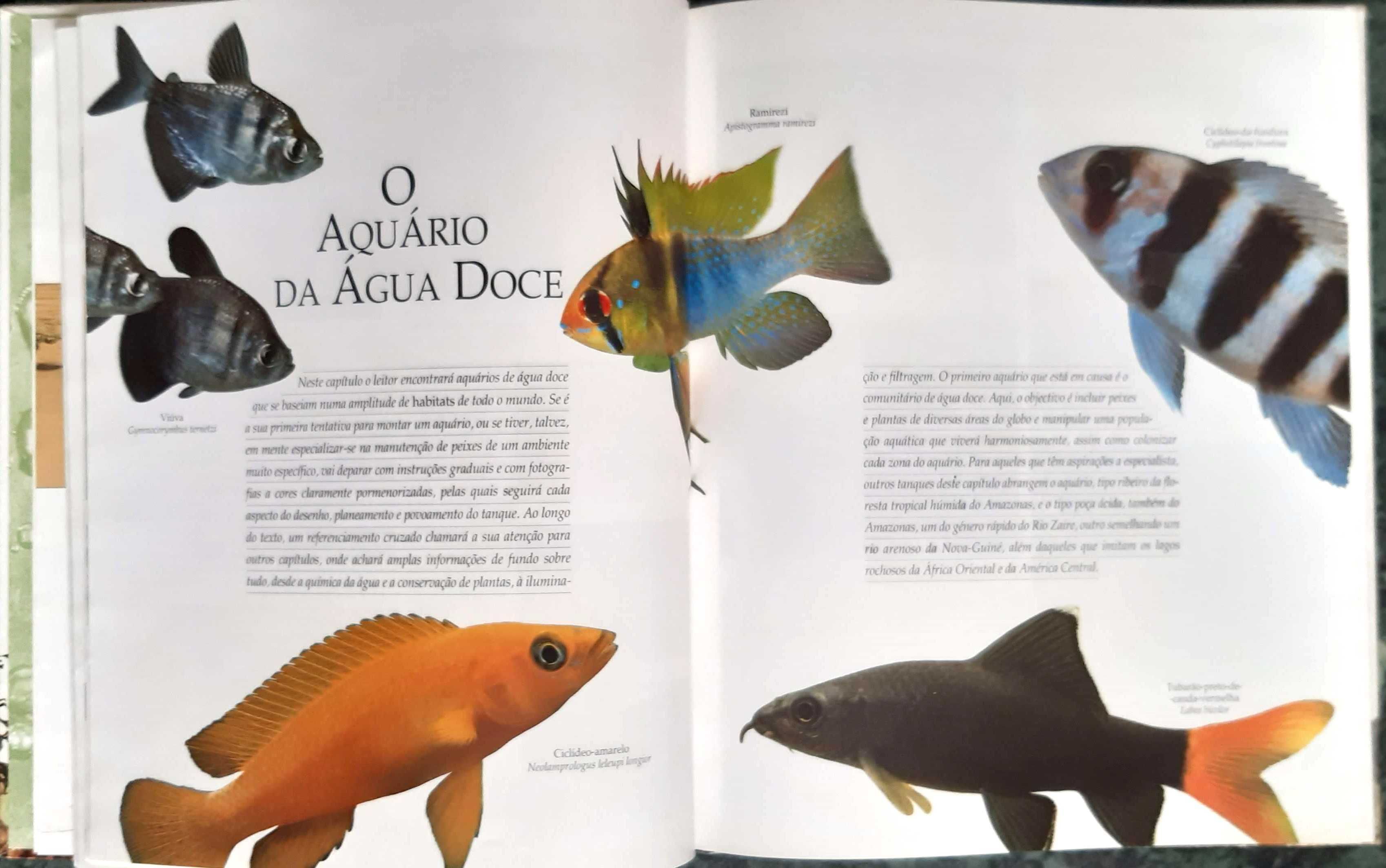 "O Grande Livro Do Aquário" Editora Livros e Livros
