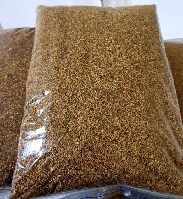 Pyłek pszczeli 5kg
